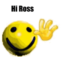 Hi Ross GIF - Hi Ross GIFs