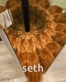 Seth Cat GIF - Seth Cat Mirror GIFs