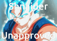 Shnaider Unapproved GIF - Shnaider Unapproved GIFs