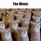 The Mimic Cat GIF - The Mimic Cat Mimic GIFs