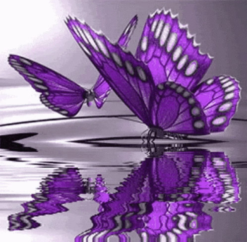 Purple Butterflies GIF - Purple Butterflies - Discover & Share GIFs