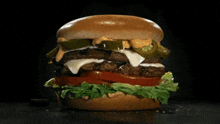 Carls Jr Hardees GIF - Carls Jr Hardees Jalapeno Double Cheeseburger GIFs
