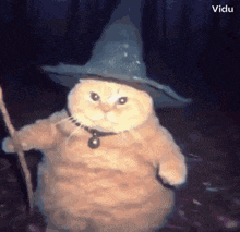 GIF