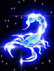 Zodiac Sign Scorpio GIF
