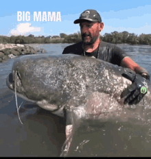 Big Mama Catfish World GIF - Big Mama Catfish World Yuri Grisendi GIFs