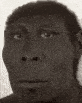 a close up of a man 's face with his hand on his chin .