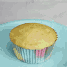 Cupcake GIF