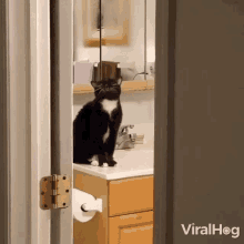 a black and white cat sitting on a bathroom sink with a viralhog watermark