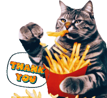 Cat Thank You Sticker - Cat Thank You Thanks Stickers