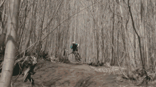 Swoop GIF - Extreme Mountain Biking Bike Riding GIFs