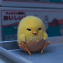 Chicky In Shell GIF