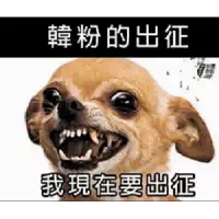a picture of a chihuahua with its mouth open in chinese