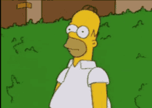 Hiding Meme GIF - Hiding Meme Homer GIFs