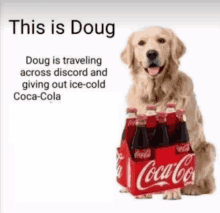 This_is_doug Coke GIF - This_is_doug Doug Coke GIFs