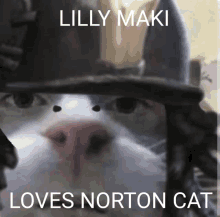 cat norton