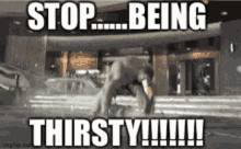 Stop Being GIF - Stop Being Thirsty GIFs