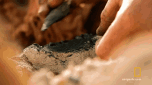 Grinding Powder The Great Human Race GIF - Grinding Powder The Great Human Race Charcoal Powder In The Making GIFs