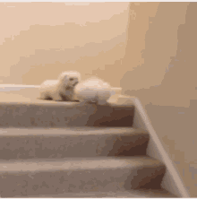 Puppies Attack GIF - Puppies Attack Dogs GIFs