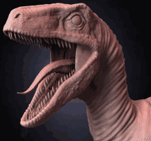 Raptor Dinosaur GIF - Raptor Dinosaur Yacine GIFs