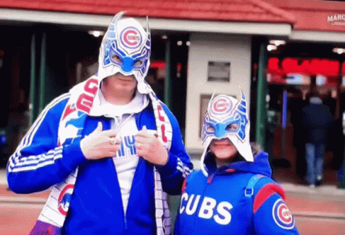 Pinterest  Chicago cubs fans, Chicago cubs baseball, Chicago cubs pictures