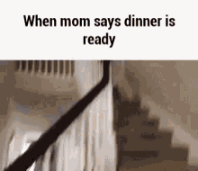 Omg When Mom Says Dinner Is Ready GIF - Omg When Mom Says Dinner Is Ready Dogs GIFs