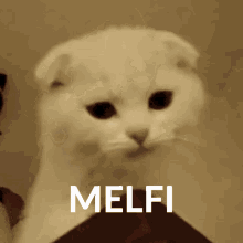 Melfi Gabriel GIF - Melfi Gabriel GIFs