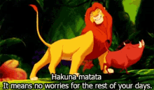 Hakuna Matata No Worries GIF - Hakuna Matata No Worries Simba GIFs