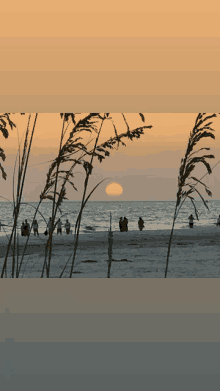 Anna Maria Island Sunset GIF