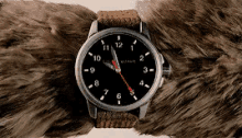 Watching Time GIF - Watch Time Fantastic Mr Fox GIFs