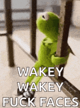 kermit the frog is sitting on a railing with the words `` wakey wakey fuck faces '' written on it .