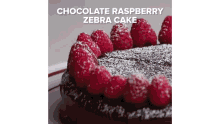 a chocolate cake with raspberries and powdered sugar on top