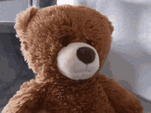 Bear Eyebrow Raise Bear GIF - Bear Eyebrow Raise Bear The Rock GIFs