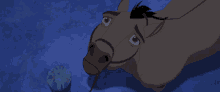 horse sad