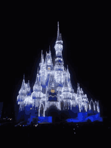 Disney Disneyworld GIF - Disney Disneyworld GIFs