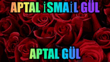 Ismailgül GIF - Ismailgül GIFs