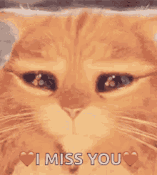 Miss Your GIF - Miss Your Welcome GIFs