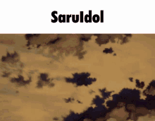 Saruidol Saruto GIF - Saruidol Saru Saruto GIFs