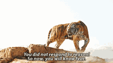 The Jungle Book Shere Khan GIF - The Jungle Book Shere Khan You Did Not Respond To Reason GIFs