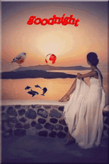a woman in a white dress sits on a stone wall looking at the ocean with the words goodnight written in red