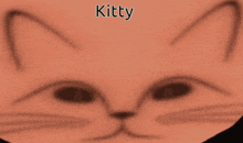 a close up of a cat 's face with the name kitty on the bottom