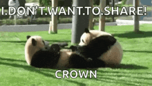 Pandas Eating GIF - Pandas Eating Hungry GIFs