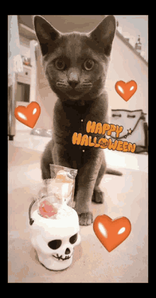Happy Halloween Cat GIF - Happy Halloween Cat Trick Or Treat GIFs