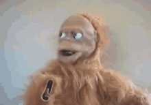 Lucy Orangutan GIF - Lucy Orangutan Mascot GIFs