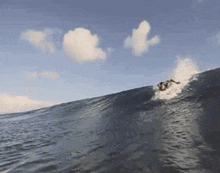 Surfing Surf GIF - Surfing Surf We Outside GIFs