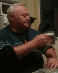 a man is sitting at a table holding a glass of beer and a cat is behind him .