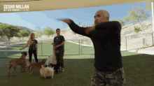 Dancing Cesar Millan Better Human Better Dog GIF