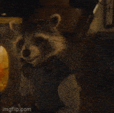 Rocket Raccoon Gotg 3 GIF - Rocket Raccoon Gotg 3 Drinking GIFs