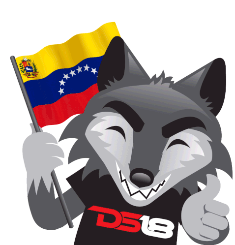 Ds18 Flag Sticker