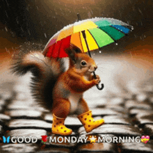 a squirrel is holding a rainbow colored umbrella and wearing yellow rain boots