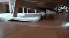 I Shall Keep My Fortress Safe From The Evil Mouse Monsters GIF - Cat Mouse Hunt GIFs